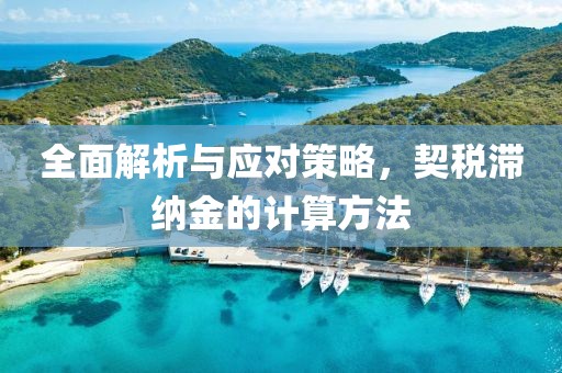 全面解析与应对策略，契税滞纳金的计算方法