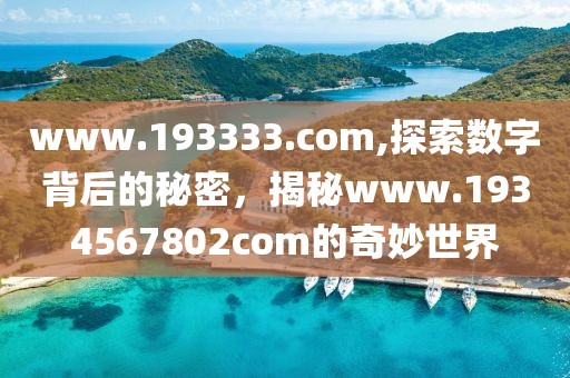 www.193333.com,探索数字背后的秘密，揭秘www.1934567802com的奇妙世界