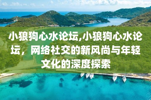 小狼狗心水论坛,小狼狗心水论坛，网络社交的新风尚与年轻文化的深度探索