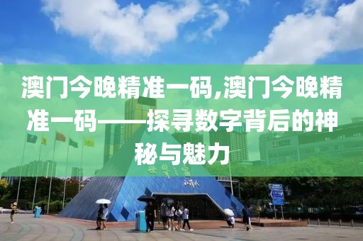 澳门今晚精准一码,澳门今晚精准一码——探寻数字背后的神秘与魅力
