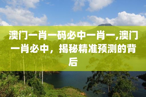 澳门一肖一码必中一肖一,澳门一肖必中，揭秘精准预测的背后