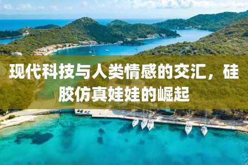 现代科技与人类情感的交汇，硅胶仿真娃娃的崛起