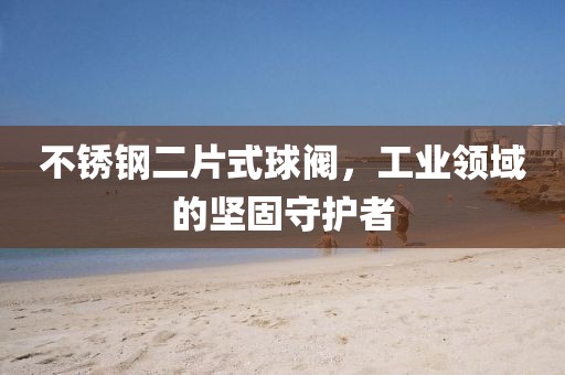 不锈钢二片式球阀，工业领域的坚固守护者