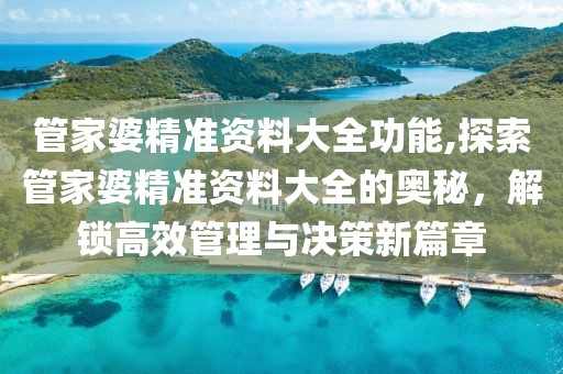 管家婆精准资料大全功能,探索管家婆精准资料大全的奥秘，解锁高效管理与决策新篇章