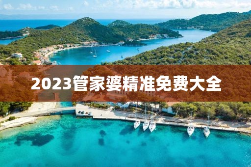 2023管家婆精准免费大全