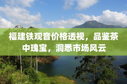 福建铁观音价格透视，品鉴茶中瑰宝，洞悉市场风云