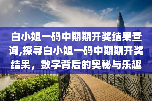 白小姐一码中期期开奖结果查询,探寻白小姐一码中期期开奖结果，数字背后的奥秘与乐趣