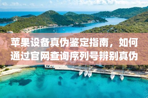 苹果设备真伪鉴定指南，如何通过官网查询序列号辨别真伪