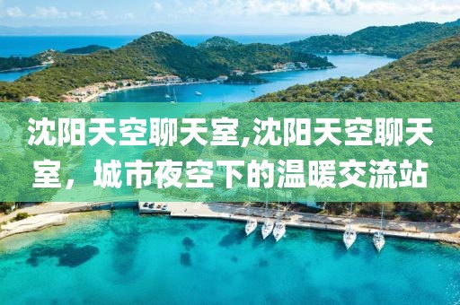 沈阳天空聊天室,沈阳天空聊天室，城市夜空下的温暖交流站