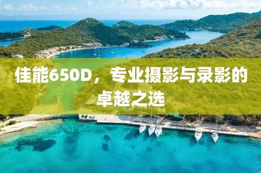 佳能650D，专业摄影与录影的卓越之选