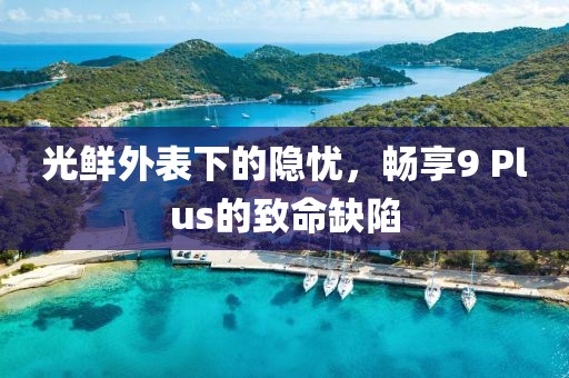 光鲜外表下的隐忧，畅享9 Plus的致命缺陷