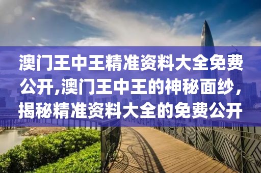 澳门王中王精准资料大全免费公开,澳门王中王的神秘面纱，揭秘精准资料大全的免费公开