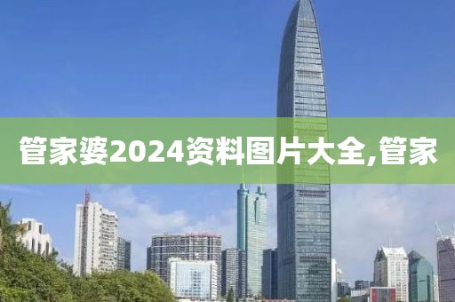管家婆2024资料图片大全,管家