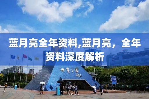 蓝月亮全年资料,蓝月亮，全年资料深度解析