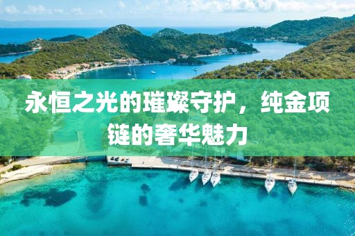 纯金项链