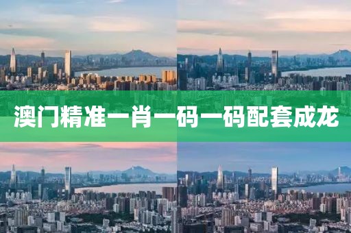 澳门精准一肖一码一码配套成龙