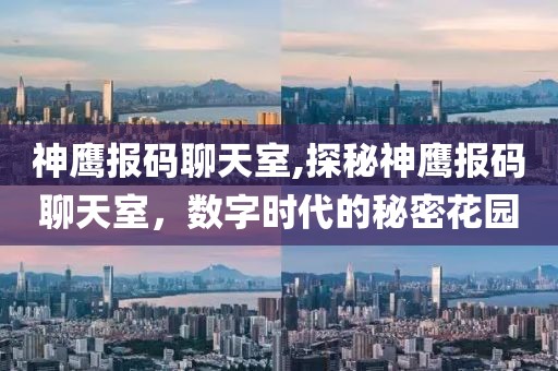 神鹰报码聊天室,探秘神鹰报码聊天室，数字时代的秘密花园