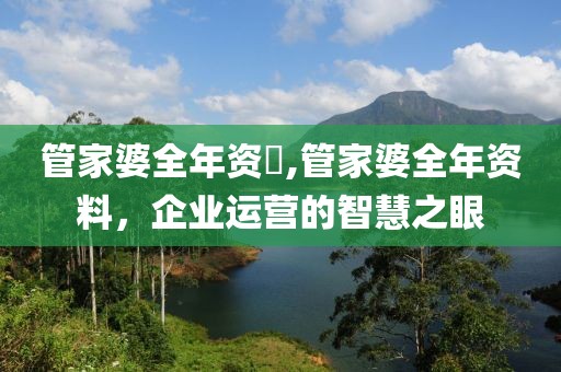 管家婆全年资枓,管家婆全年资料，企业运营的智慧之眼