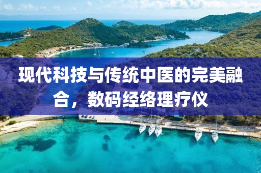 现代科技与传统中医的完美融合，数码经络理疗仪
