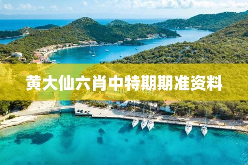 黄大仙六肖中特期期准资料