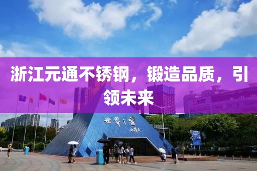 浙江元通不锈钢