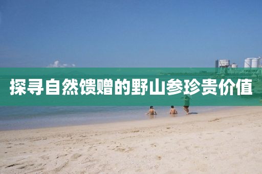 探寻自然馈赠的野山参珍贵价值