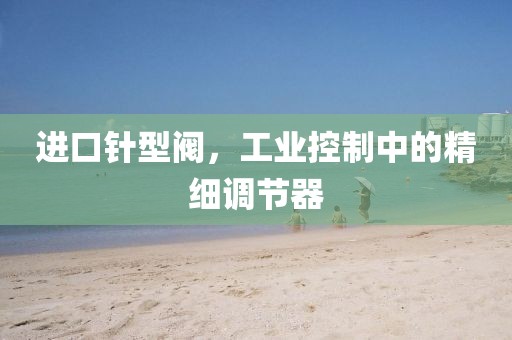 进口针型阀，工业控制中的精细调节器
