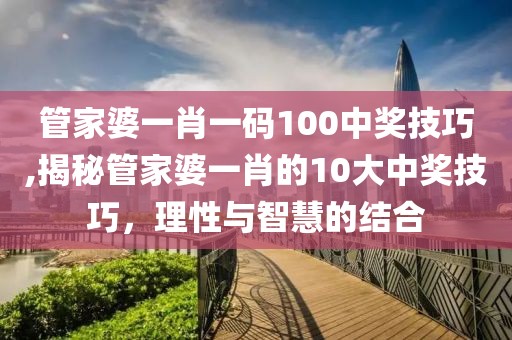 管家婆一肖一码100中奖技巧,揭秘管家婆一肖的10大中奖技巧，理性与智慧的结合