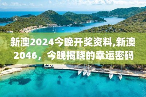 新澳2024今晚开奖资料,新澳2046，今晚揭晓的幸运密码