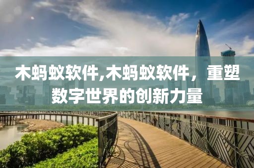 木蚂蚁软件