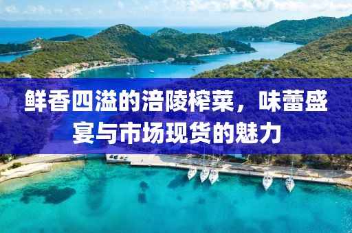 初告白 第265页