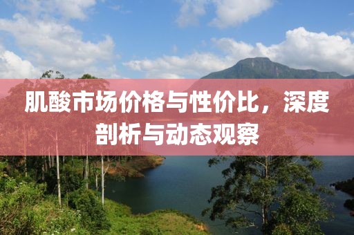 肌酸市场价格与性价比，深度剖析与动态观察