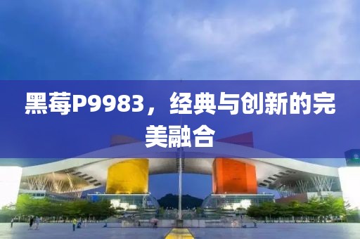 黑莓P9983，经典与创新的完美融合