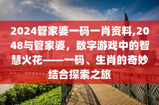 2024管家婆一码一肖资料,2048与管家婆，数字游戏中的智慧火花——一码、生肖的奇妙结合探索之旅