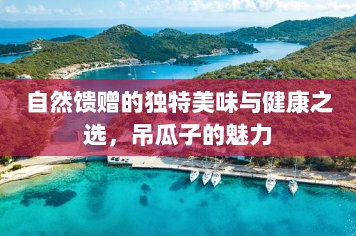 自然馈赠的独特美味与健康之选，吊瓜子的魅力