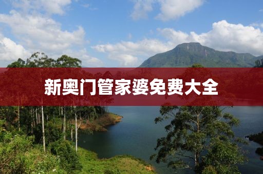 新奥门管家婆免费大全