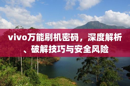 vivo万能刷机密码，深度解析、破解技巧与安全风险