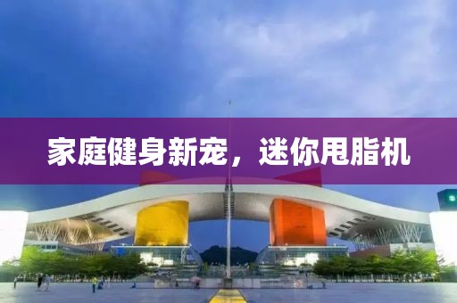 家庭健身新宠，迷你甩脂机