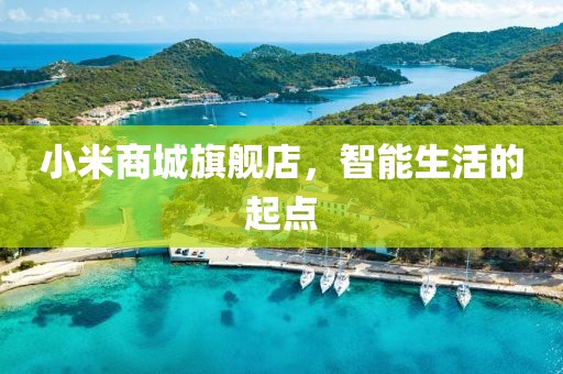 小米商城旗舰店，智能生活的起点