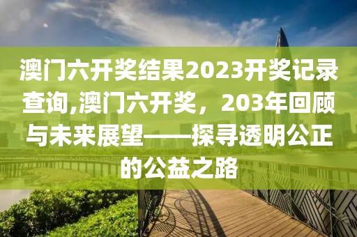 澳门六开奖结果2023开奖记录查询,澳门六开奖，203年回顾与未来展望——探寻透明公正的公益之路