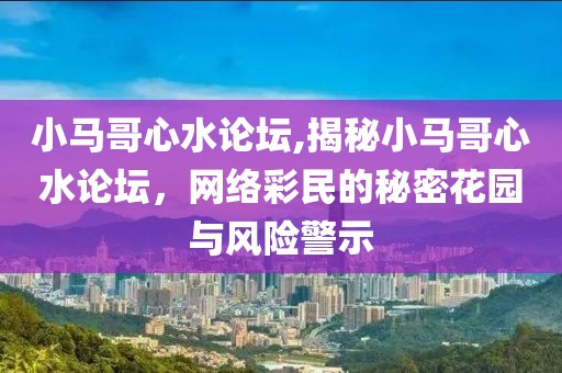 小马哥心水论坛,揭秘小马哥心水论坛，网络彩民的秘密花园与风险警示