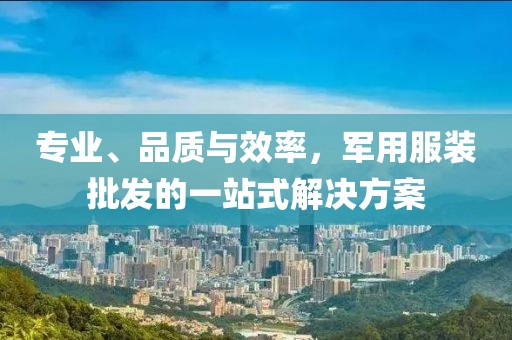 专业、品质与效率，军用服装批发的一站式解决方案