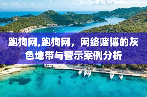 跑狗网,跑狗网，网络赌博的灰色地带与警示案例分析