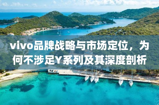 vivo品牌战略与市场定位，为何不涉足Y系列及其深度剖析