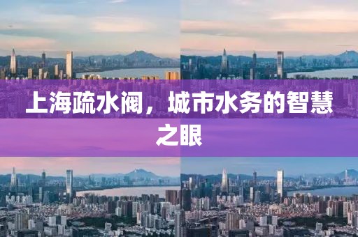 上海疏水阀，城市水务的智慧之眼