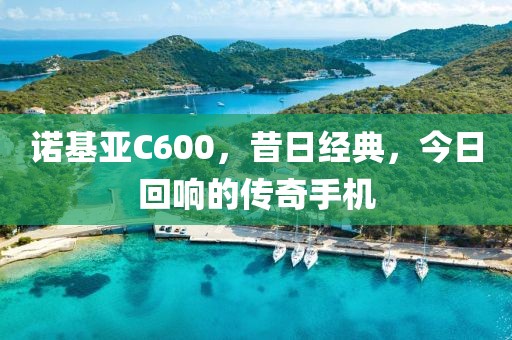 诺基亚C600，昔日经典，今日回响的传奇手机