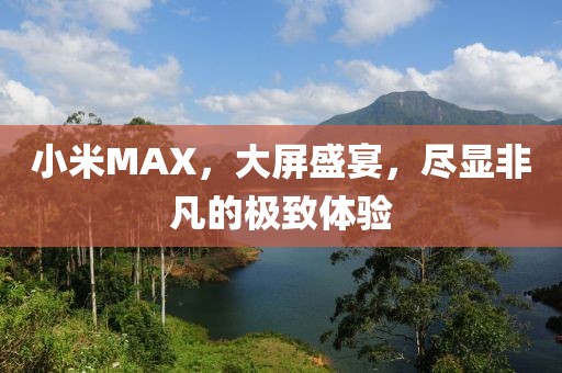 小米MAX，大屏盛宴，尽显非凡的极致体验