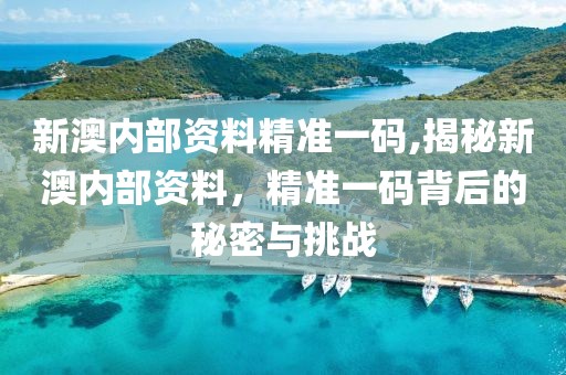 新澳内部资料精准一码,揭秘新澳内部资料，精准一码背后的秘密与挑战