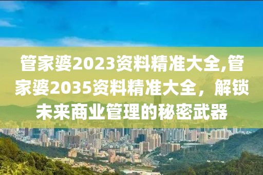 管家婆2023资料精准大全,管家婆2035资料精准大全，解锁未来商业管理的秘密武器