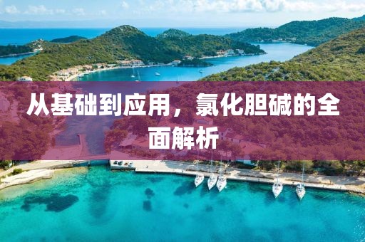从基础到应用，氯化胆碱的全面解析
